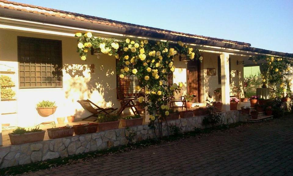 فورميلو B&B Rolu المظهر الخارجي الصورة